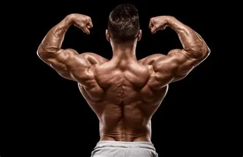 Hình ảnh minh họa cho lịch tập gym cho người mới giúp thay đổi vóc dáng nhanh chóng.